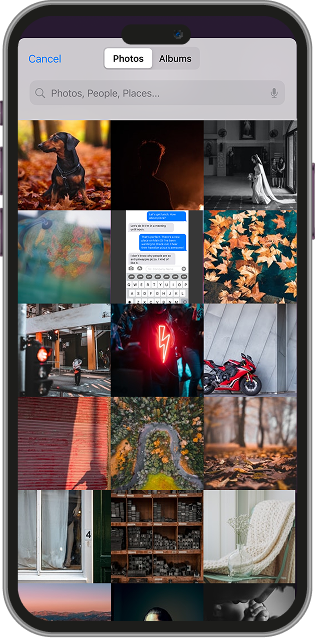 Image gallery marquee